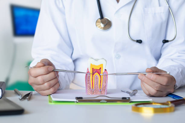Best Emergency Orthodontic Repairs in Goshen, IN